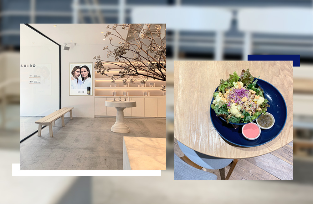 自由が丘でヴィーガンランチ – SHIRO CAFE