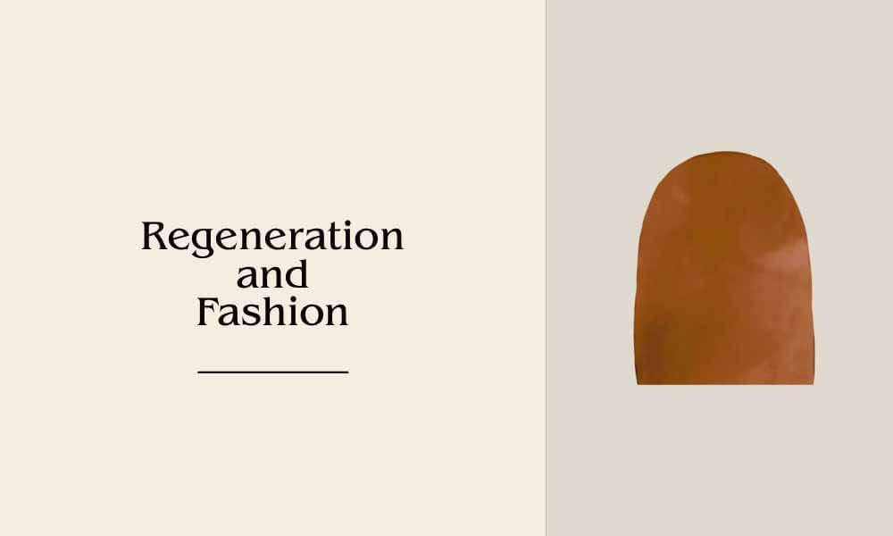 regeneration and fashion