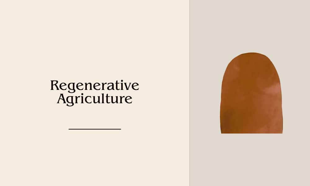 regenerativeagriculture