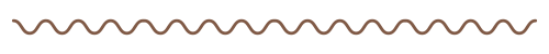 Privacy Policy and Other Terms | THE LITTLE WHIM wave big brown