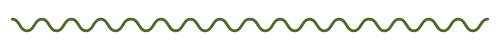 Privacy Policy and Other Terms | THE LITTLE WHIM wave big green