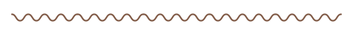 Privacy Policy and Other Terms | THE LITTLE WHIM wave small brown